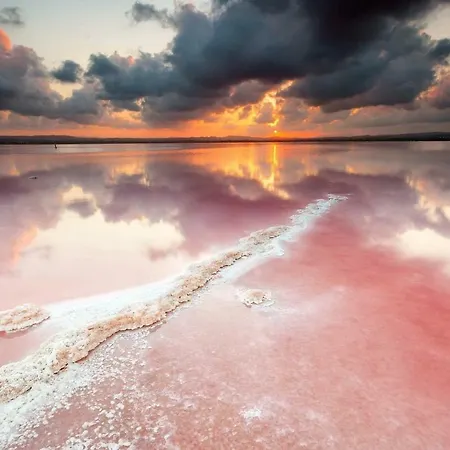 Apartment Torrevieja Apartment *